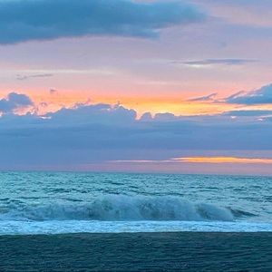 Meet your Posher, Anne